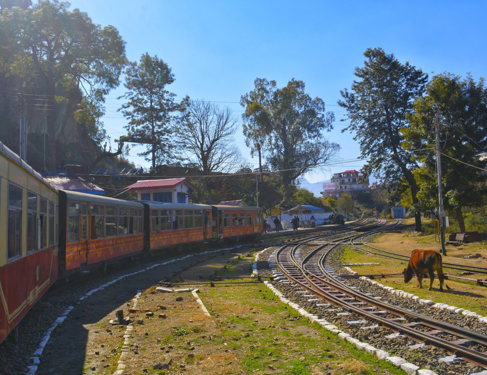 Shimla Manali Honeymoon Package – 5 Nights / 6 Days