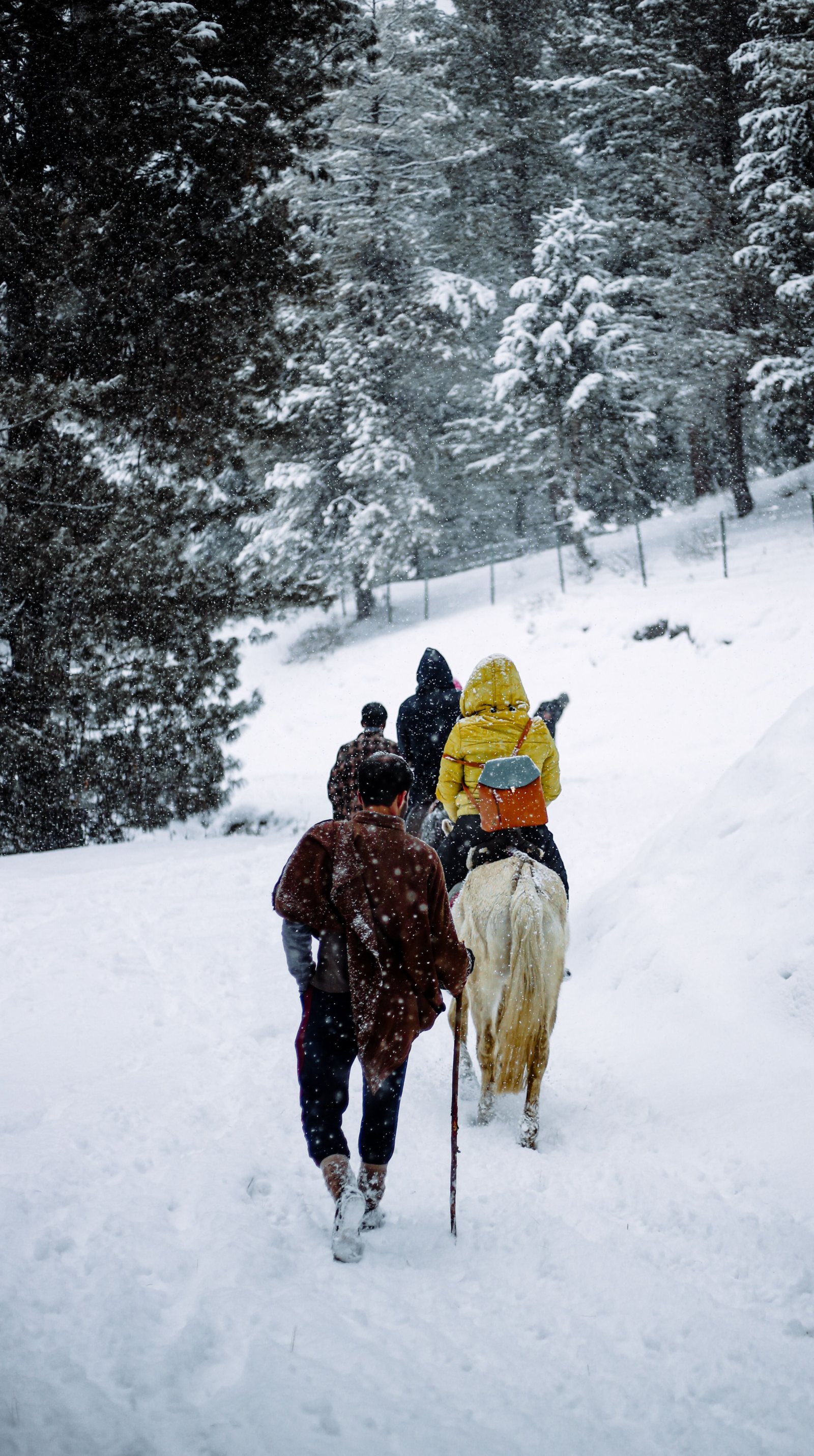 SHIMLA VOLVO & BUS PACKAGE – 3N/4D